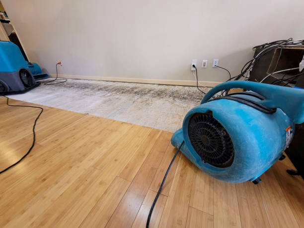Professional Sewage Cleanup technician working in Yancey, TX